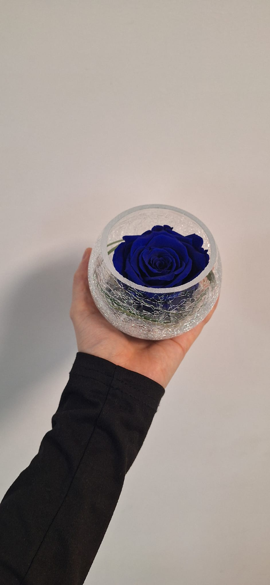 Rose éternelle Bleu🌹