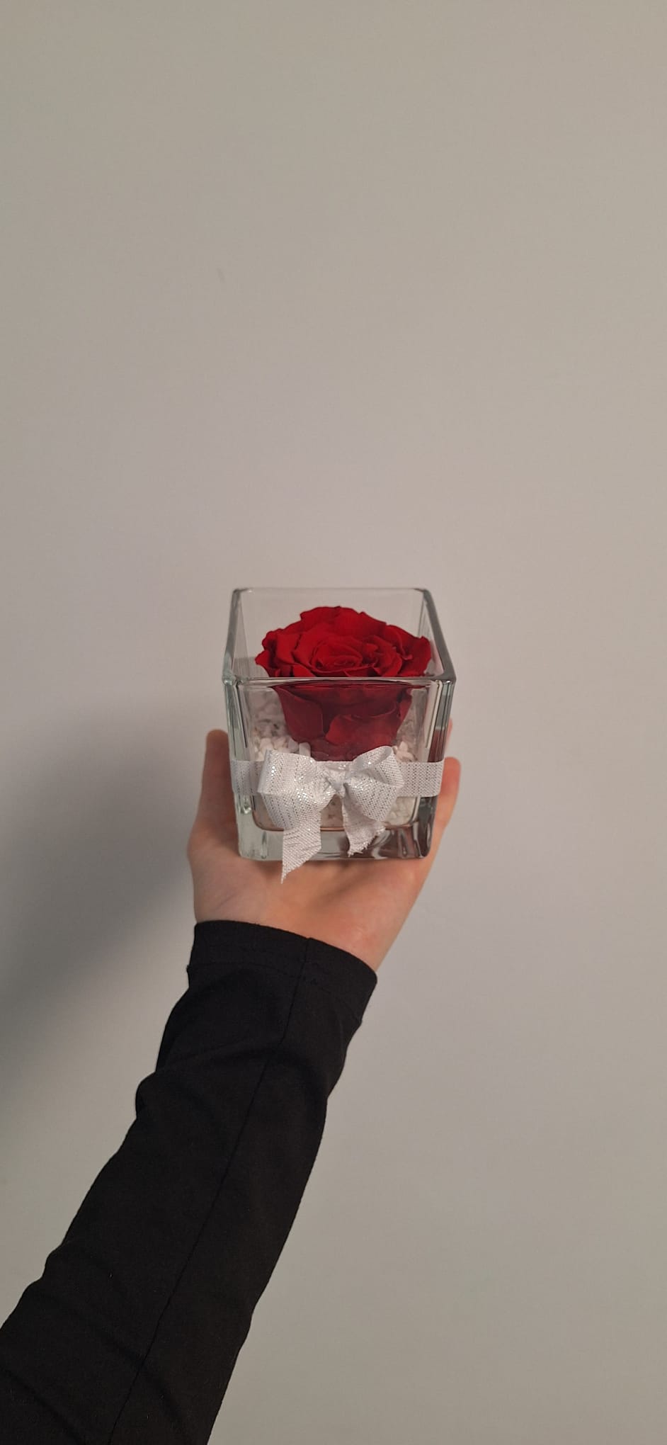 Rose éternelle Rouge🌹